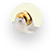 wi7